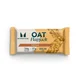 Protein Flapjack (Sample)